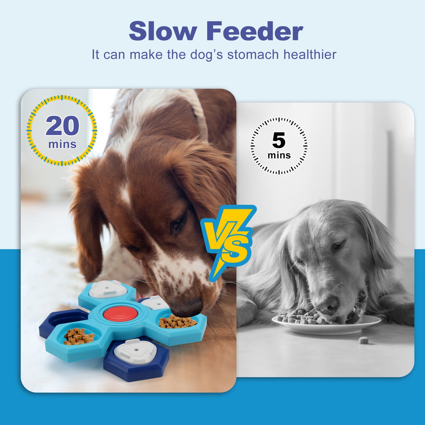 4-Layer Interactive Slow Feeder Puzzle Bowl