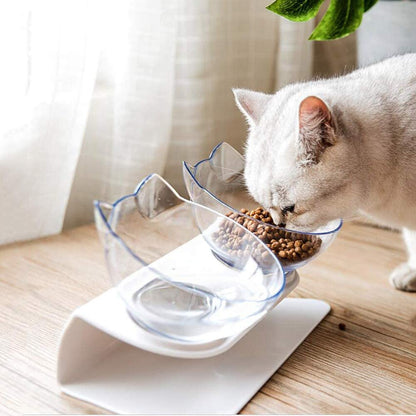 Cat Elevated Feeder Stand with Transparent Bowl
