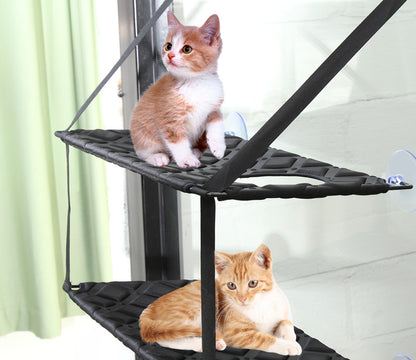 Window-Mounted Cat Hammock & Perch