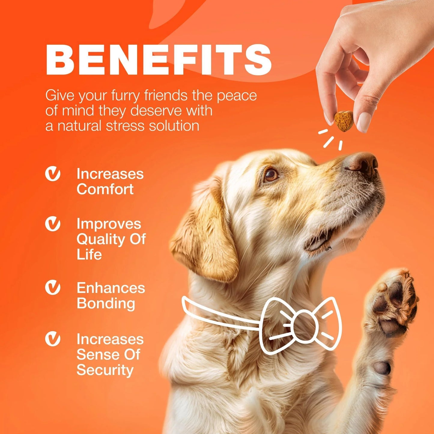 Glucosamine for Dogs Hip & Joint Supplement Chondroitin
