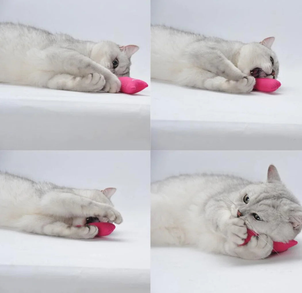 5Pcs Cat Chew Toy Bite Resistant Catnip Toys for Cats,Catnip Filled Cartoon Mice Cat Teething Chew Toy