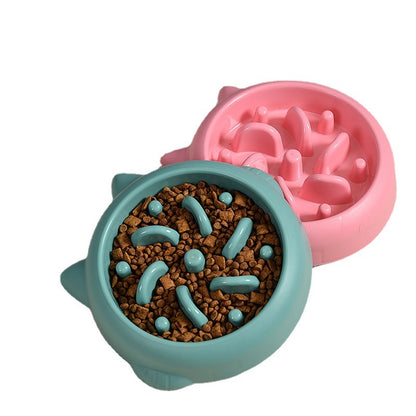 Anti-Gulp Slow Feeder Bowl for Dogs & Cats