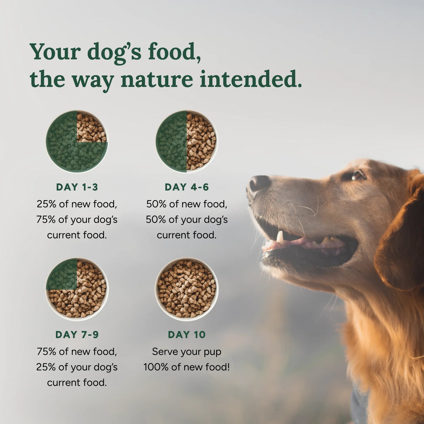 Chicken Flavor Freeze Dried Dog Food, 5 Oz. Bag