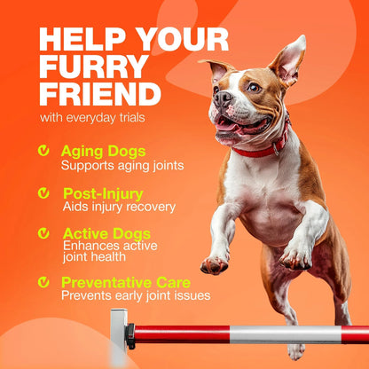 Glucosamine for Dogs Hip & Joint Supplement Chondroitin