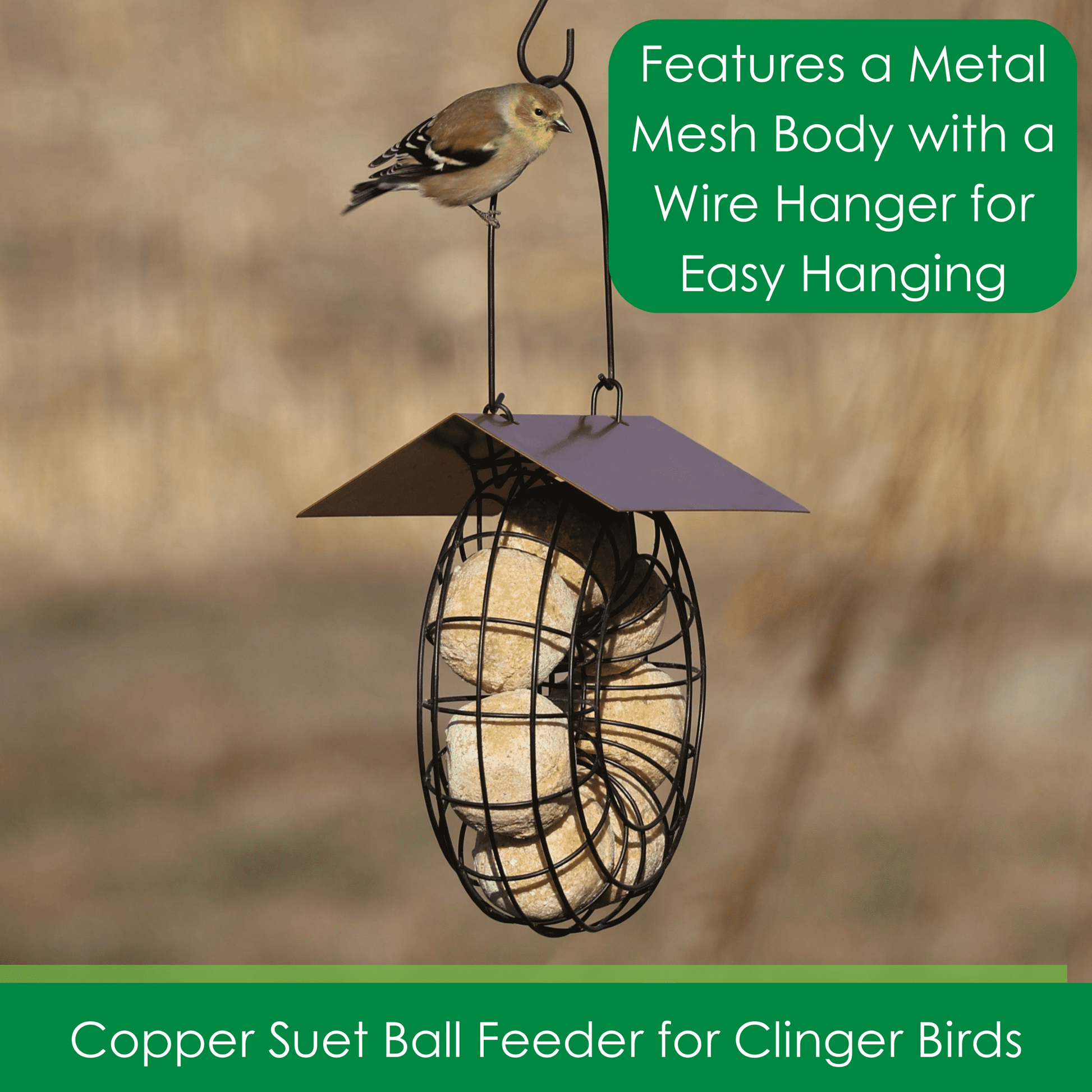 Suet Feeder for Suet Balls Metal Hanging Bird Feeder, 6 Suet Ball Capacity Copper