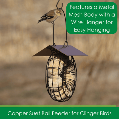 Suet Feeder for Suet Balls Metal Hanging Bird Feeder, 6 Suet Ball Capacity Copper