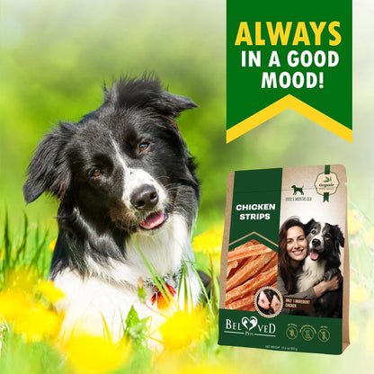Chicken Strips Dog Treats Human-Grade Grain-Free 10.6 Oz