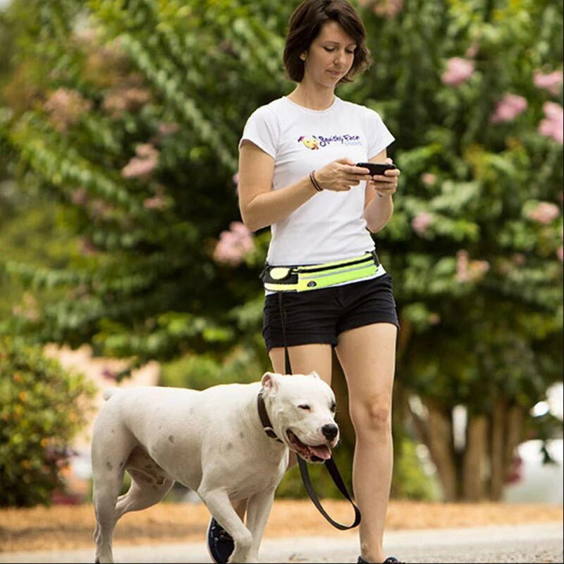 Hands-Free Shock-Absorbing Dog Leash Belt