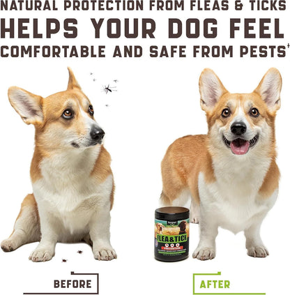 Flea & Tick Chews for Dogs 180 Count Duck Flavor All Breeds & Ages