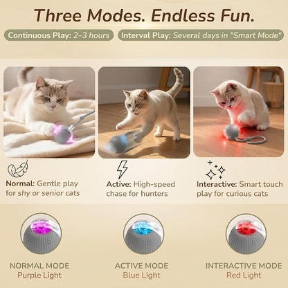 Smart Ball 2.0 - Automatic Cat Toy & Interactive Dog Toys for Small Dogs - Moving Cat Toy Ball for Indoor Cats - Motion Activated, Light Up, USB-C Rechargeable Pet Toy, 2 Speed Modes [Gray]