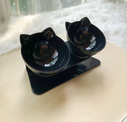 Cat Elevated Feeder Stand with Transparent Bowl