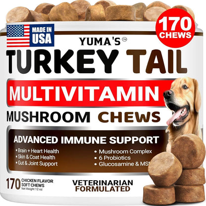 Turkey Tail Mushroom for Dogs Multivitamin Supplement Immune Support