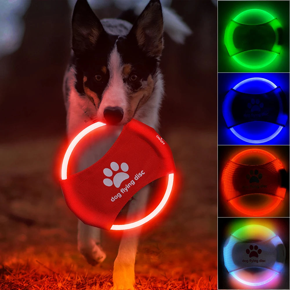 LED Light-Up Dog Flying Disc Toy
