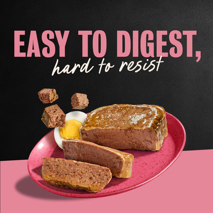 (6 Pack)  Classic Loaf in Sauce Wet Dog Food, Bacon & Egg Flavor, 3.5 Oz. Easy Peel Tray