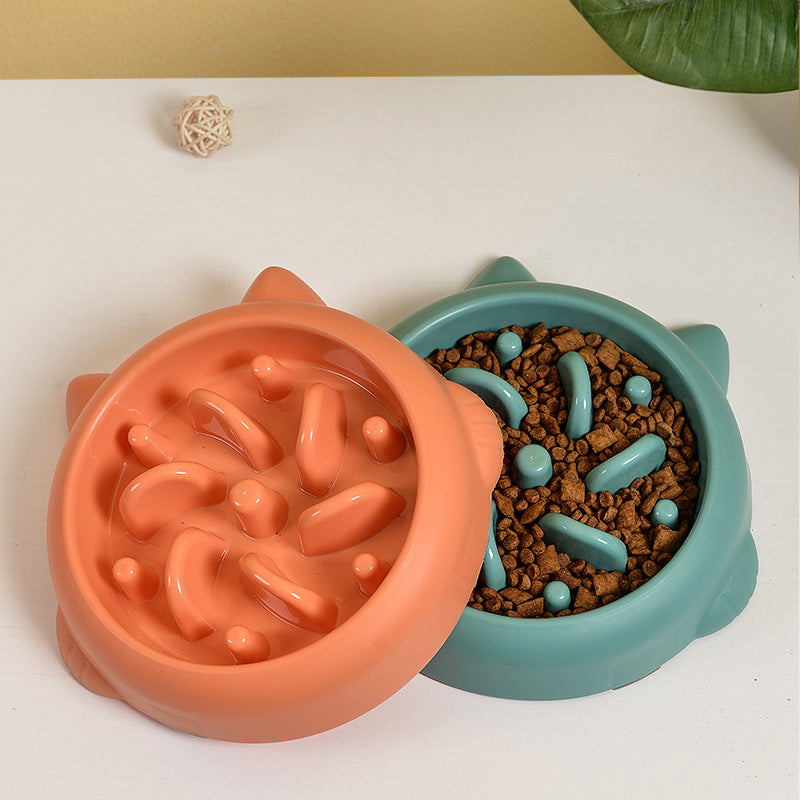 Anti-Gulp Slow Feeder Bowl for Dogs & Cats