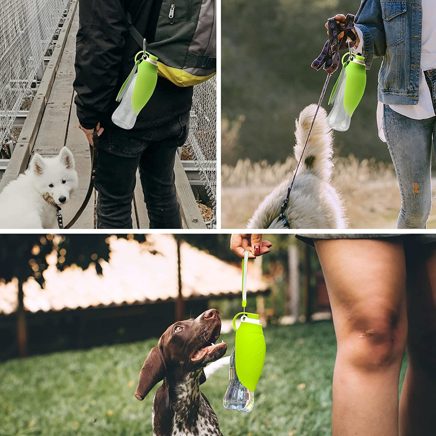 Leak-Proof Portable Dog Water Bottle & Bowl