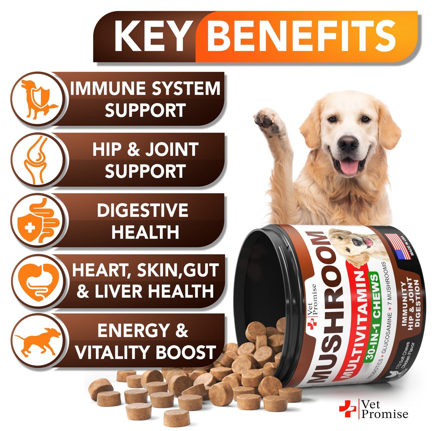 (2 Pack) Mushroom for Dogs 340 Chews Turkey Tail Mushroom Supplement for Dogs Lions Mane Reishi Immunity Support Multivitamin Vitamins Joint Health Energy Gut Skin Made in USA