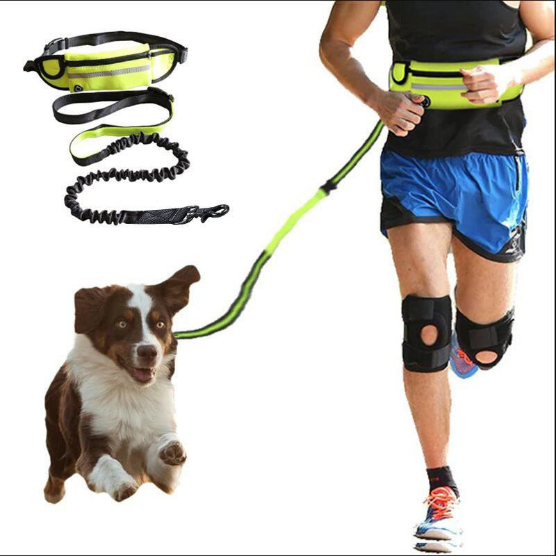 Hands-Free Shock-Absorbing Dog Leash Belt