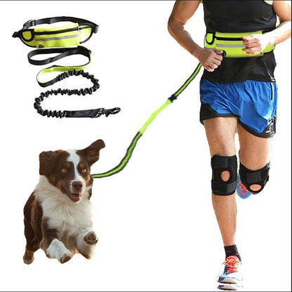 Hands-Free Shock-Absorbing Dog Leash Belt