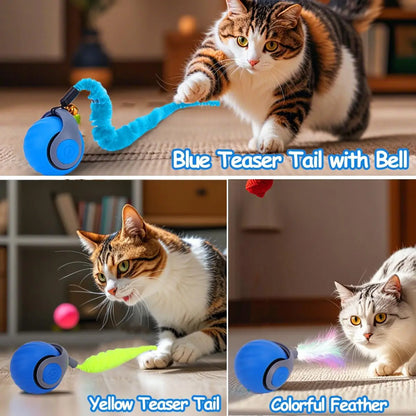 Rechargeable Speedy Tail Cat Toy