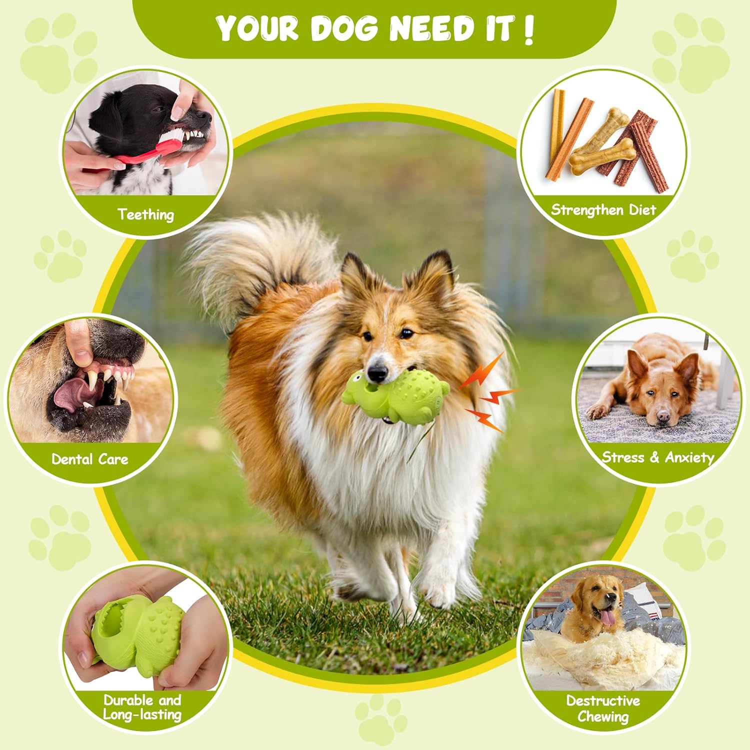 Natural Rubber Squeaky Dog Chew Toy