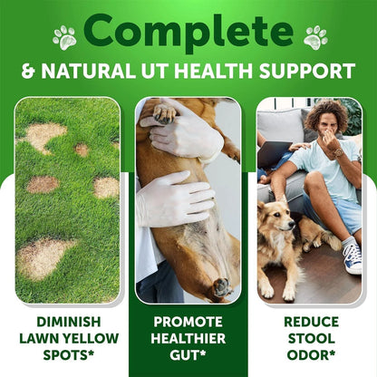 Grass Burn Spot Chews for Dogs 120 Count Lawn Urine Neutralizer