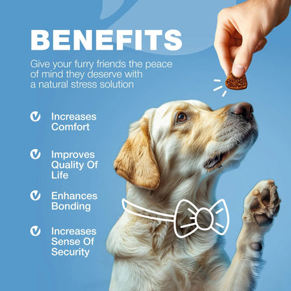 Hemp Calming Chews for Dogs Anxiety Relief for Dogs with L Theanine Chamomile