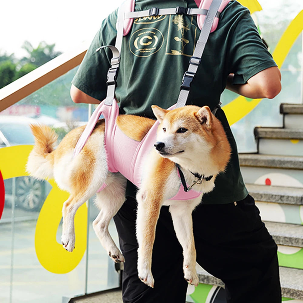 Cozy Puppy Dog Horizontal Backpack Breathable Pet Carrier Bags for Small Medium Dogs Poodle Shiba Inu Pug Mascotas Accessories