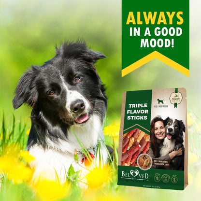 Rawhide Treats for Dogs Duck & Chicken Grain-Free Chews Dental Support