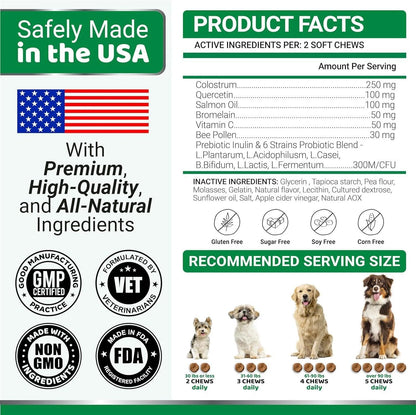 2 Pack Dog Allergy Relief Chews Dog Itching Skin Relief Treatment Pills anti Itch for Dogs Itchy and Paw Licking Dry Skin & Hot Spots Omega 3 Fish Oil Skin & Coat Supplement