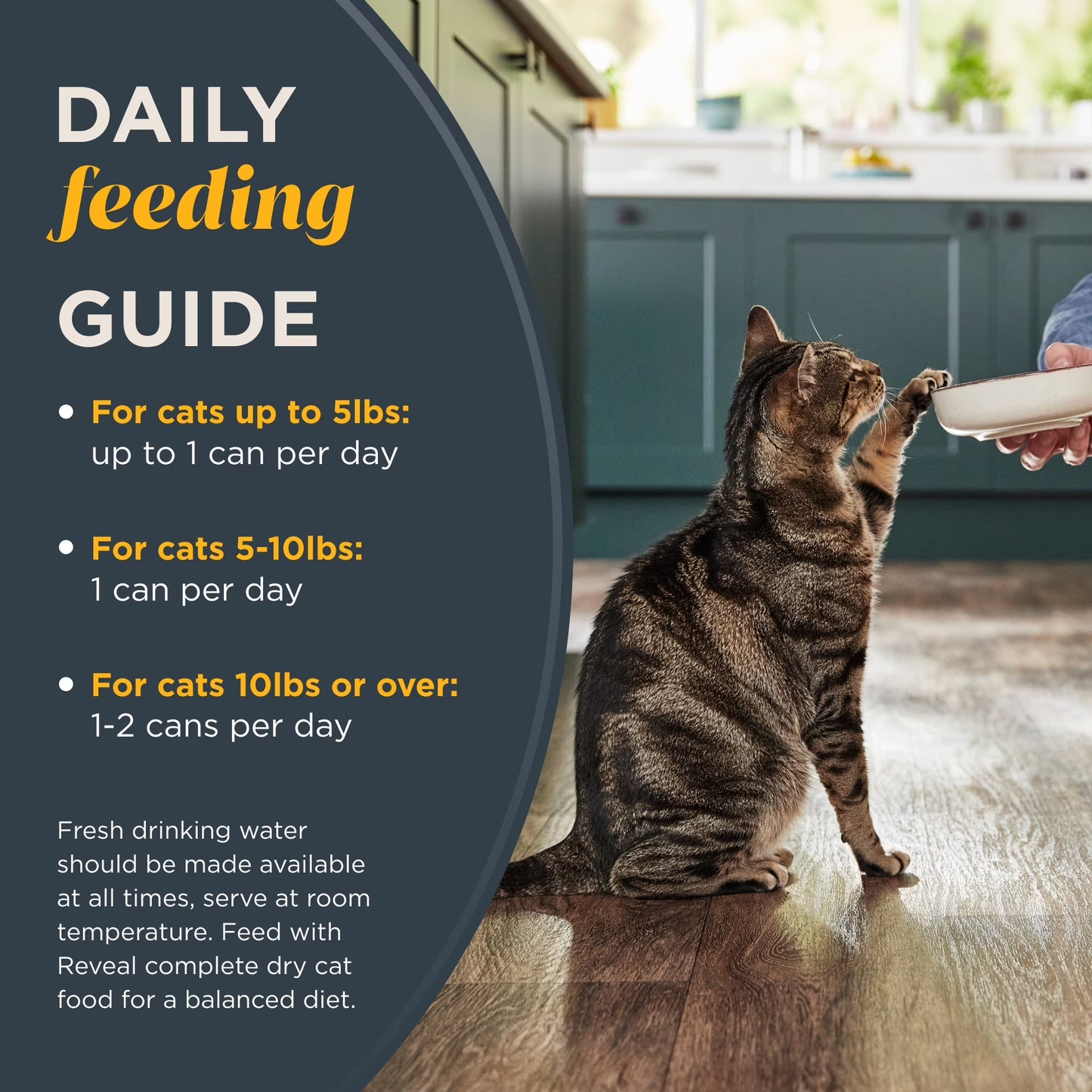 Natural Wet Cat Food, Chicken Breast with Duck in Broth, 24 X 2.47Oz Cans
