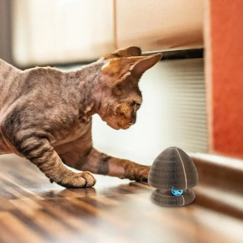 Interactive Corrugated Cat Scratcher with Ball