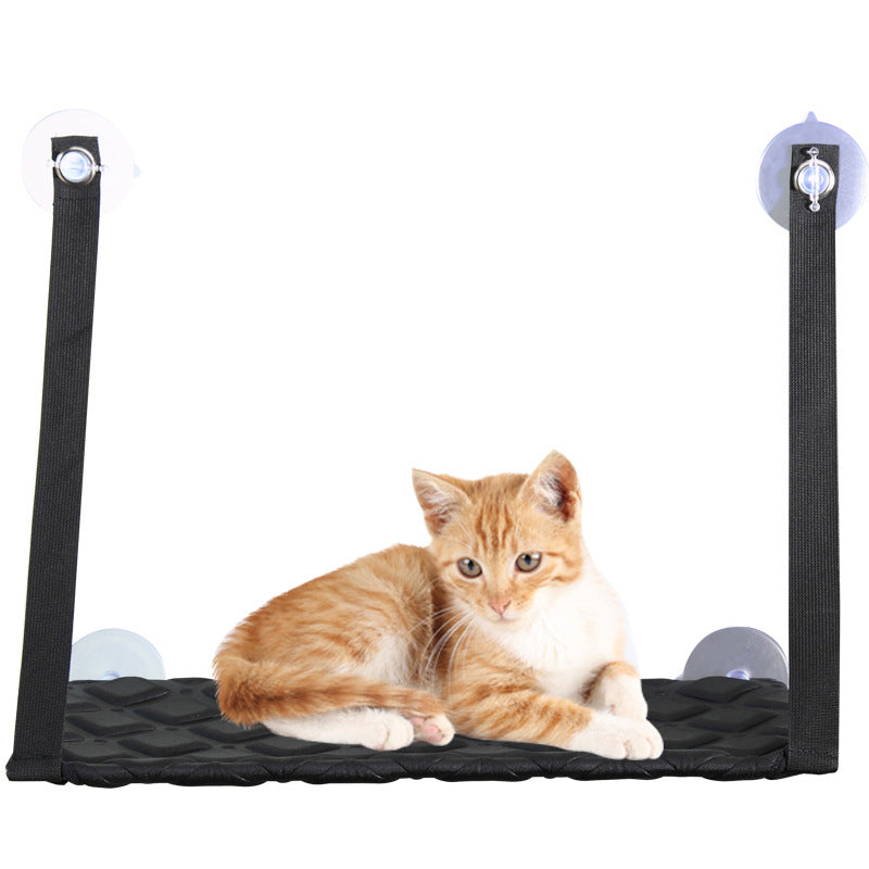 Window-Mounted Cat Hammock & Perch