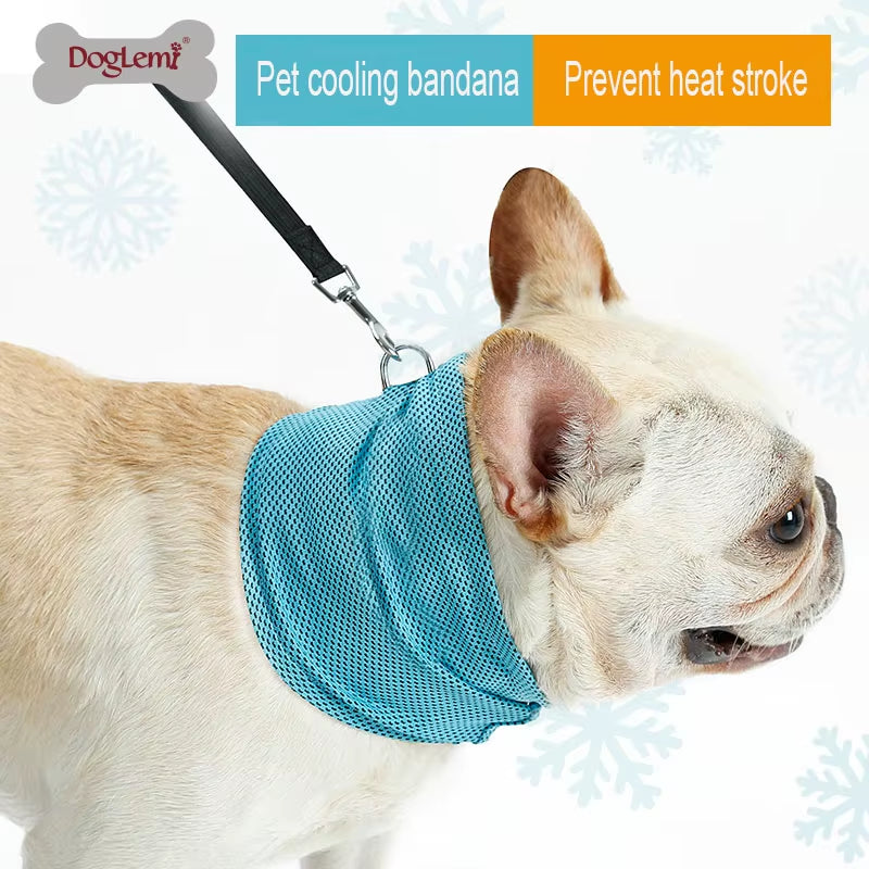 Cooling Bandana for Small Dogs