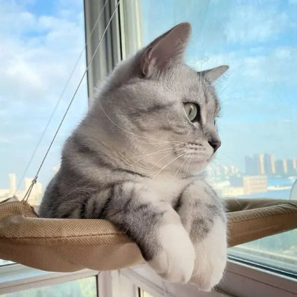Cat Hammock Hanging Cat Bed Bearing Comfortable Cat Sunny Window Feline Naptime Seat Mount Kitten Climbing Frame Pet Product