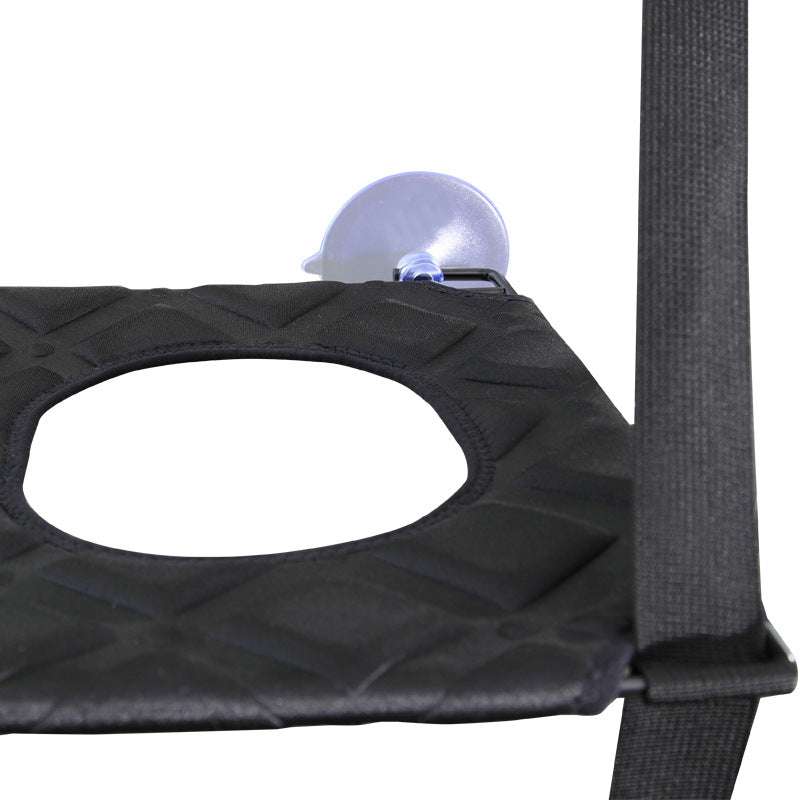 Window-Mounted Cat Hammock & Perch