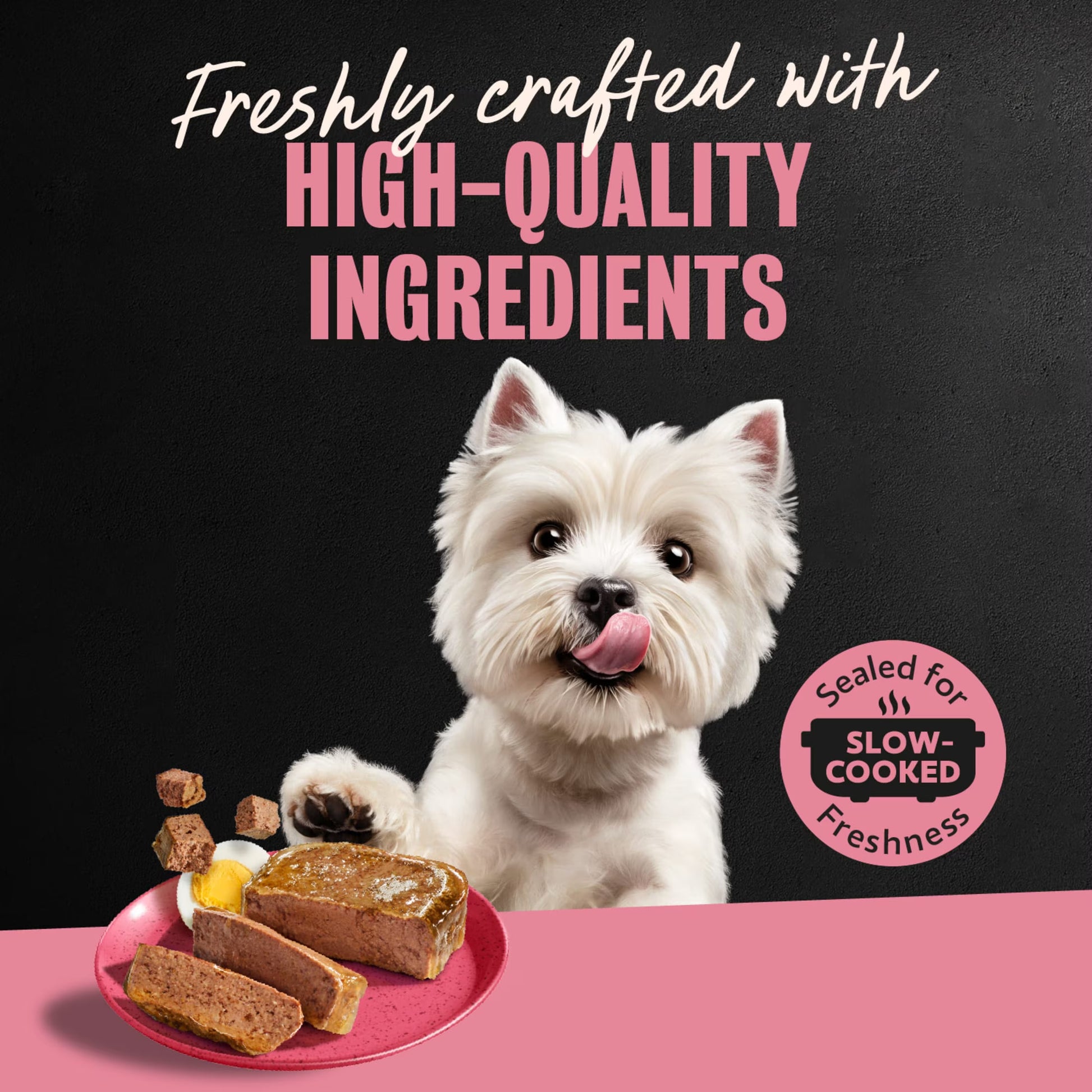 (6 Pack)  Classic Loaf in Sauce Wet Dog Food, Bacon & Egg Flavor, 3.5 Oz. Easy Peel Tray