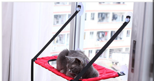 Window-Mounted Cat Hammock & Perch