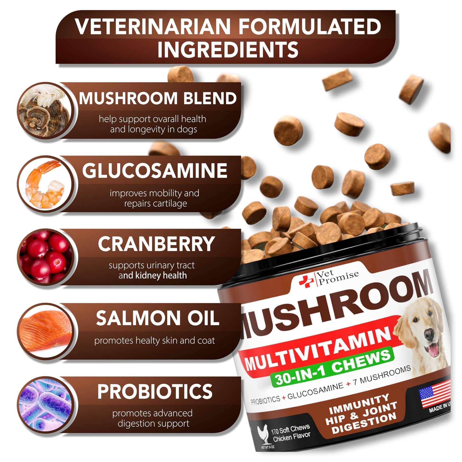 (2 Pack) Mushroom for Dogs 340 Chews Turkey Tail Mushroom Supplement for Dogs Lions Mane Reishi Immunity Support Multivitamin Vitamins Joint Health Energy Gut Skin Made in USA