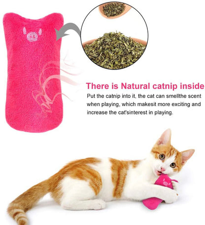 5Pcs Cat Chew Toy Bite Resistant Catnip Toys for Cats,Catnip Filled Cartoon Mice Cat Teething Chew Toy