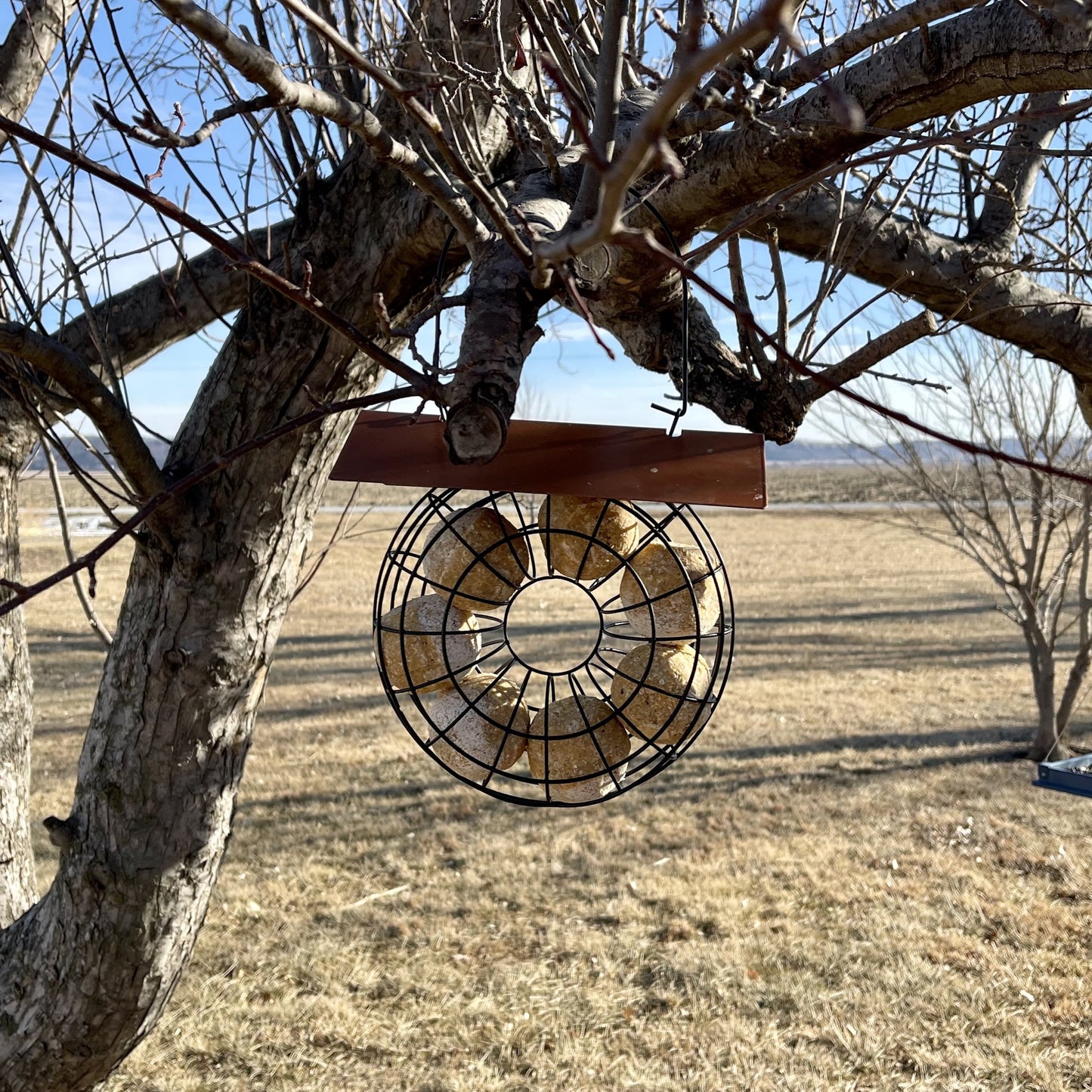 Suet Feeder for Suet Balls Metal Hanging Bird Feeder, 6 Suet Ball Capacity Copper