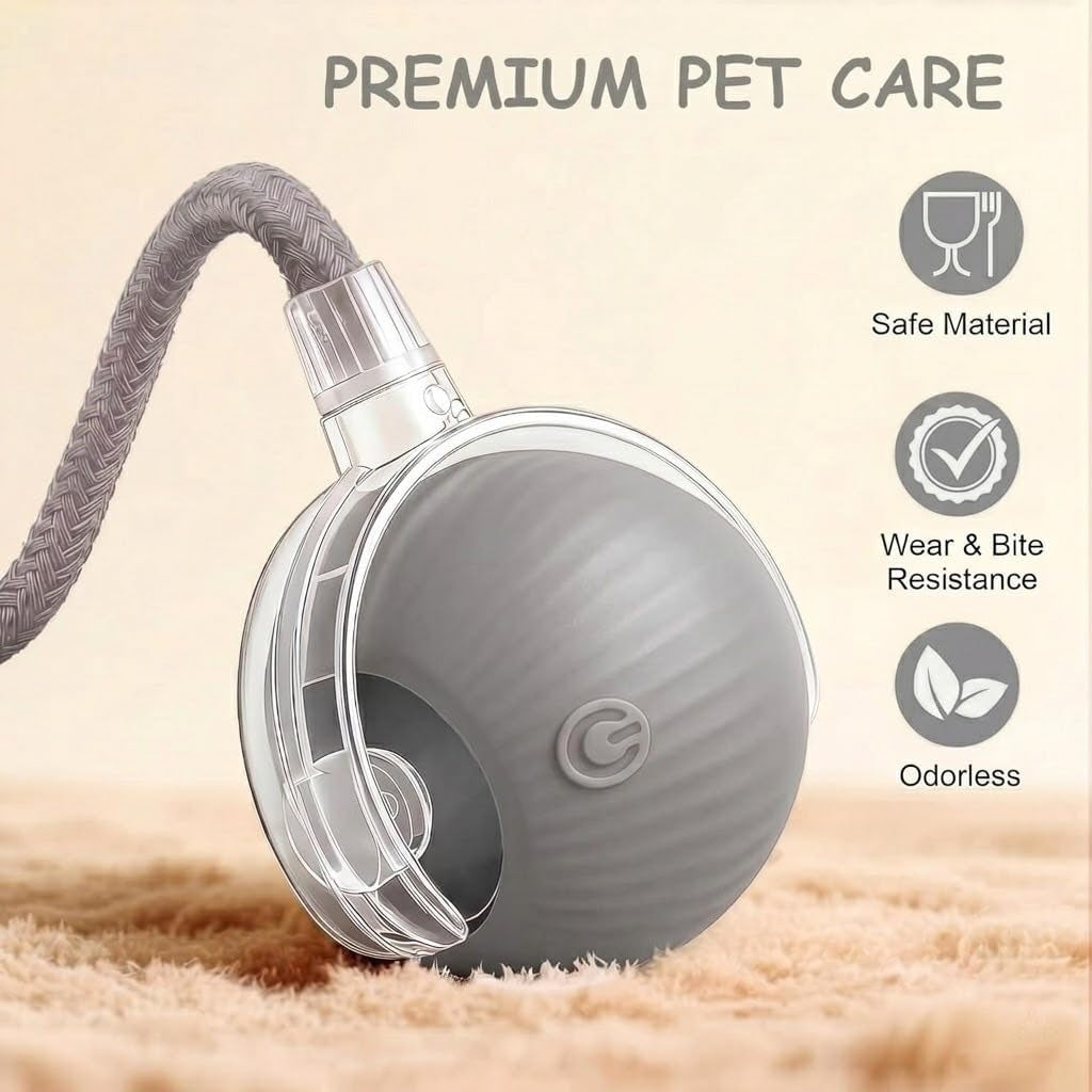 Smart Ball 2.0 - Automatic Cat Toy & Interactive Dog Toys for Small Dogs - Moving Cat Toy Ball for Indoor Cats - Motion Activated, Light Up, USB-C Rechargeable Pet Toy, 2 Speed Modes [Gray]