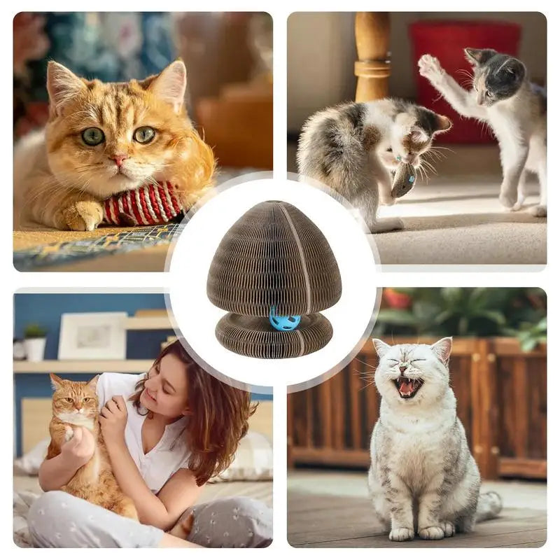Interactive Corrugated Cat Scratcher with Ball