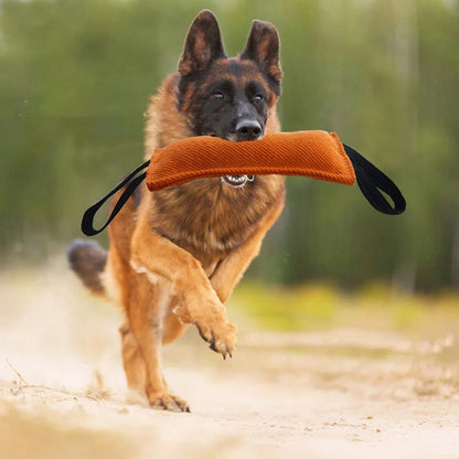 Jute Dog Training Tug Pillow Toy