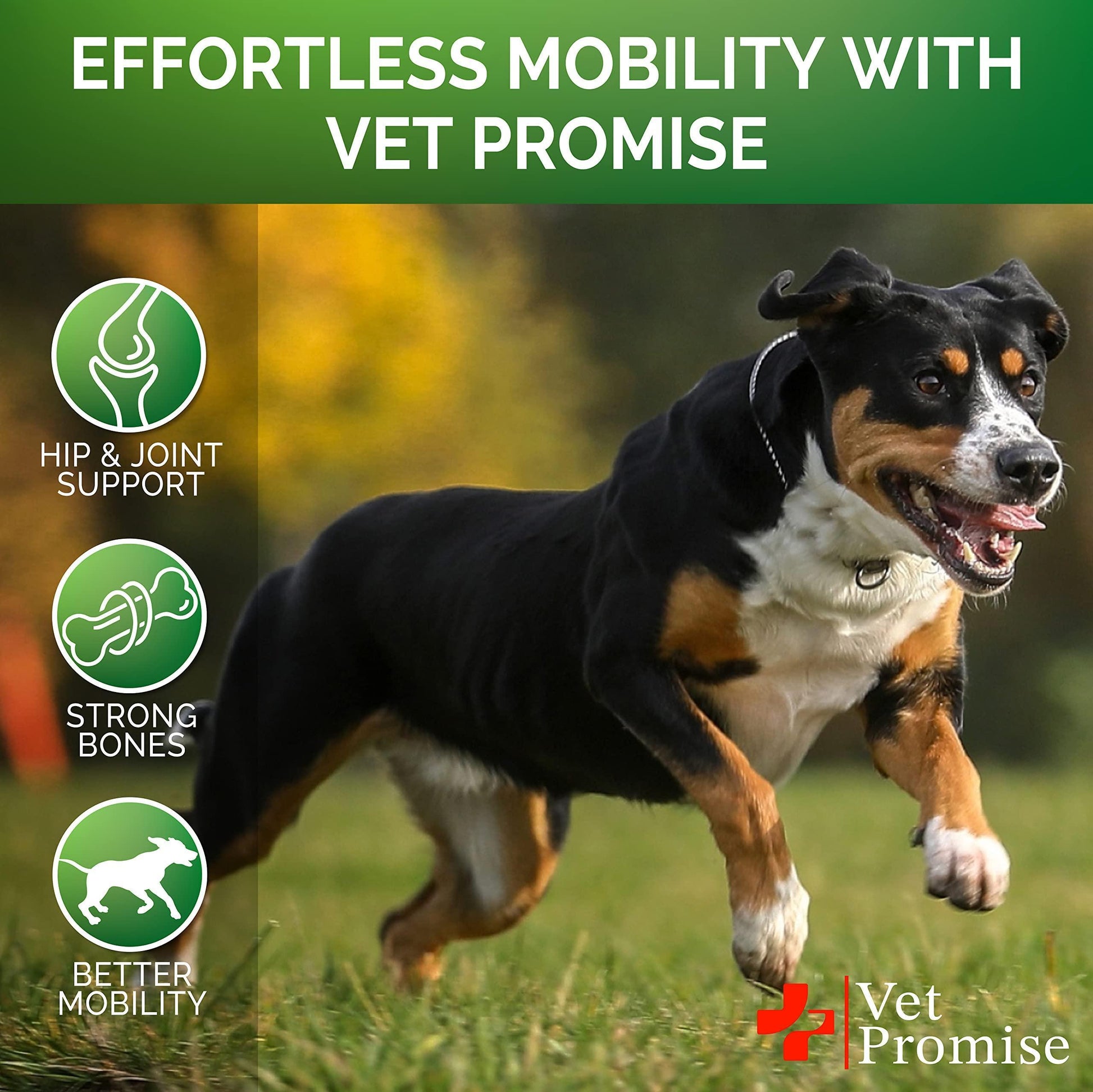 Glucosamine for Dogs Hip and Joint Supplement Glucosamine Chondroitin Joint Pain Relief MSM Hemp Advanced 170 Mobility Chews