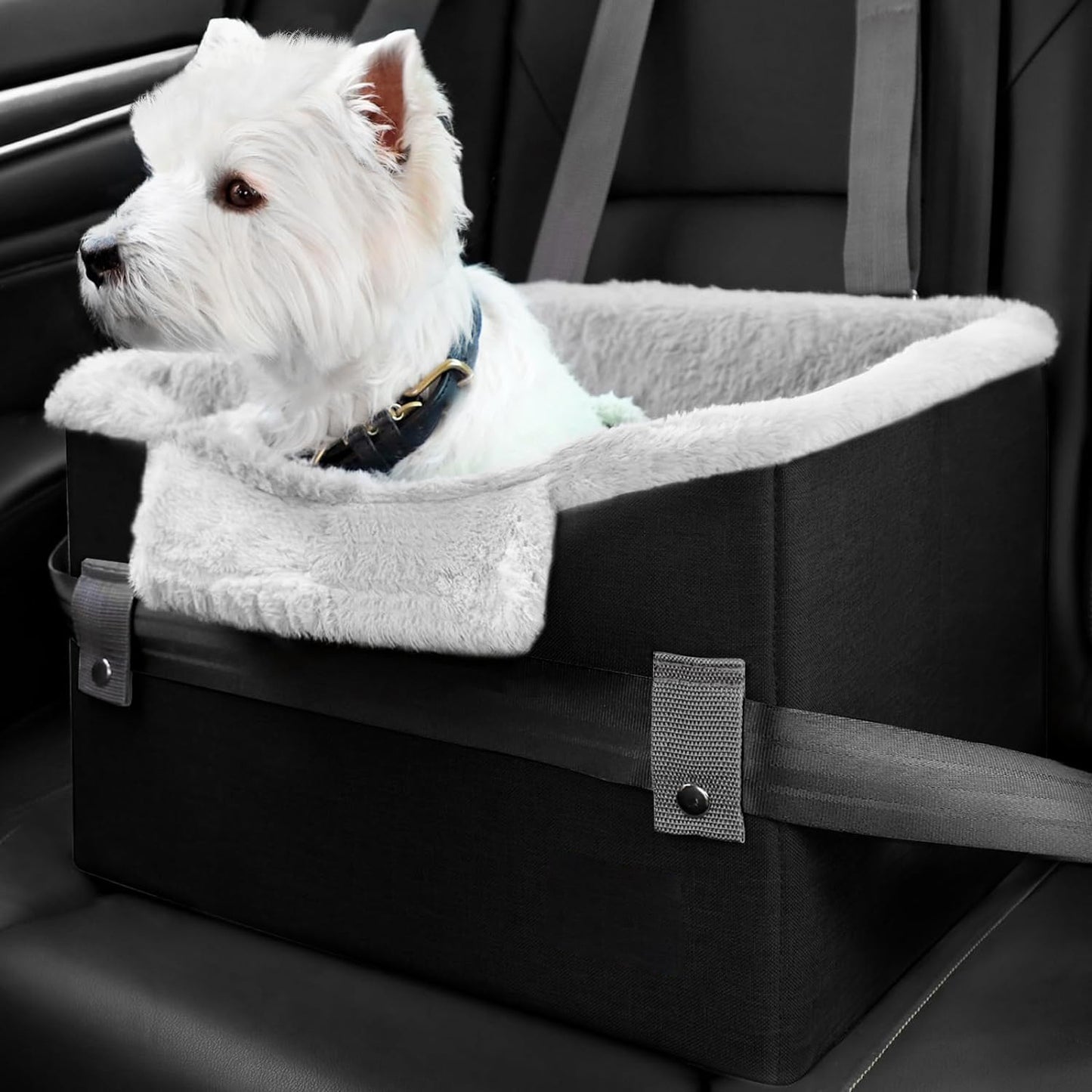 Portable Small Dog Booster Car Seat