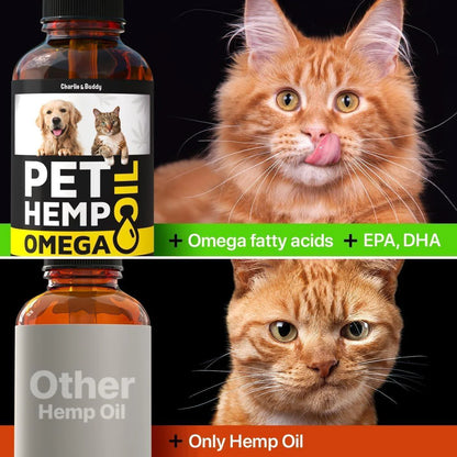 Hemp & Salmon Oil for Dogs Omega 3-6-9 Skin & Coat 1 Fl Oz