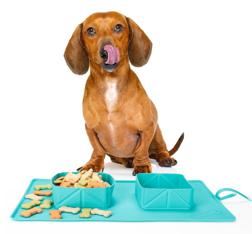 Dogs Puppy Bowls Silicone Bowls