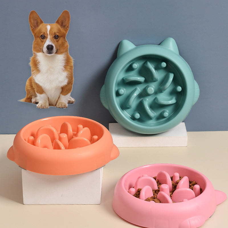 Anti-Gulp Slow Feeder Bowl for Dogs & Cats