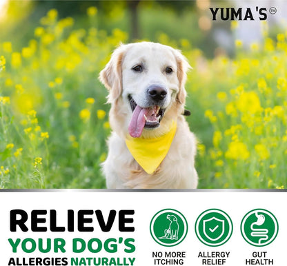 2 Pack Dog Allergy Relief Chews Dog Itching Skin Relief Treatment Pills anti Itch for Dogs Itchy and Paw Licking Dry Skin & Hot Spots Omega 3 Fish Oil Skin & Coat Supplement